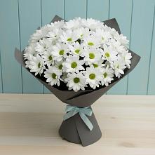 Букет цветов из:  Хризантемы в Металлплощадке