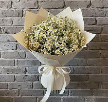 Букет цветов из:  Ромашки #REPLACE_PRED# Металлплощадке