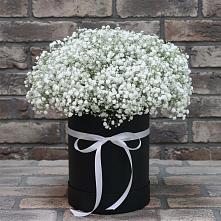 Цветочная композиция из Гипсофила в шляпной коробке #REPLACE_PRED# Металлплощадке